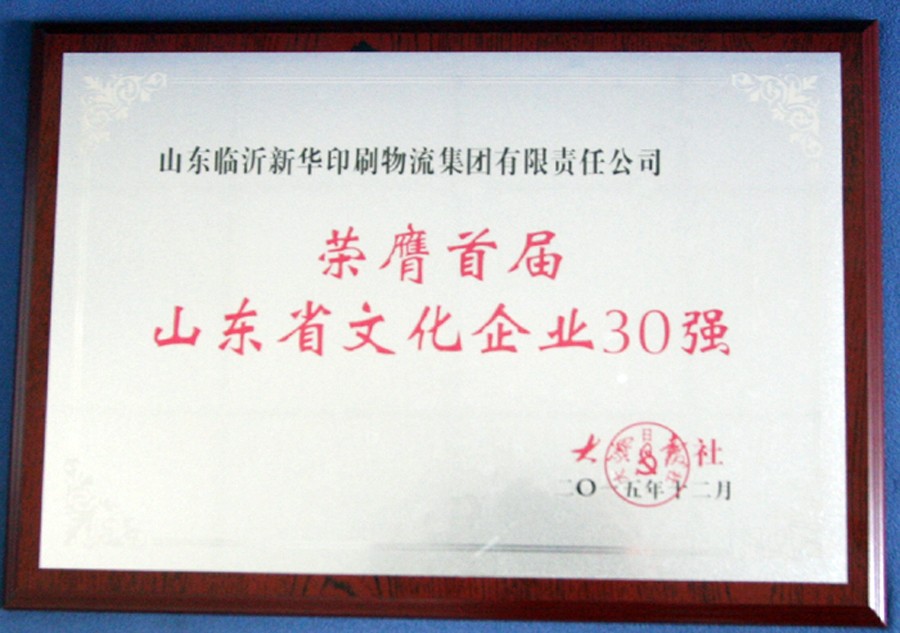 临沂新华集团荣获首届“山东省文化企业30强”荣誉称号 第 2 张